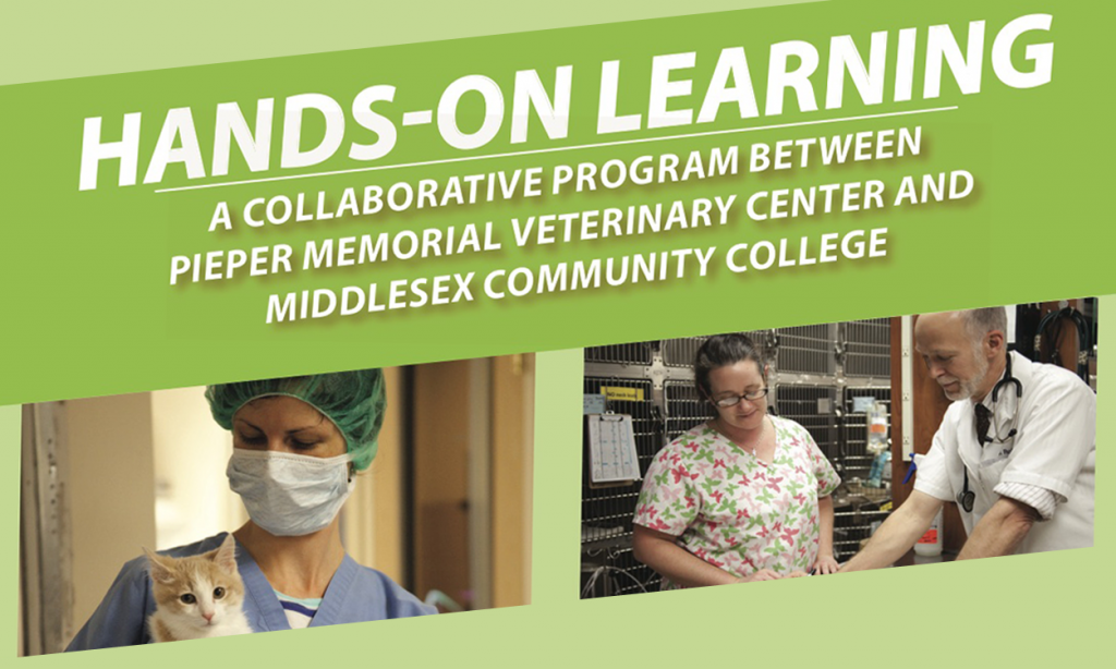 Hands-On Learning: A collaborative program between Pieper Veterinary and Middlesex Community College